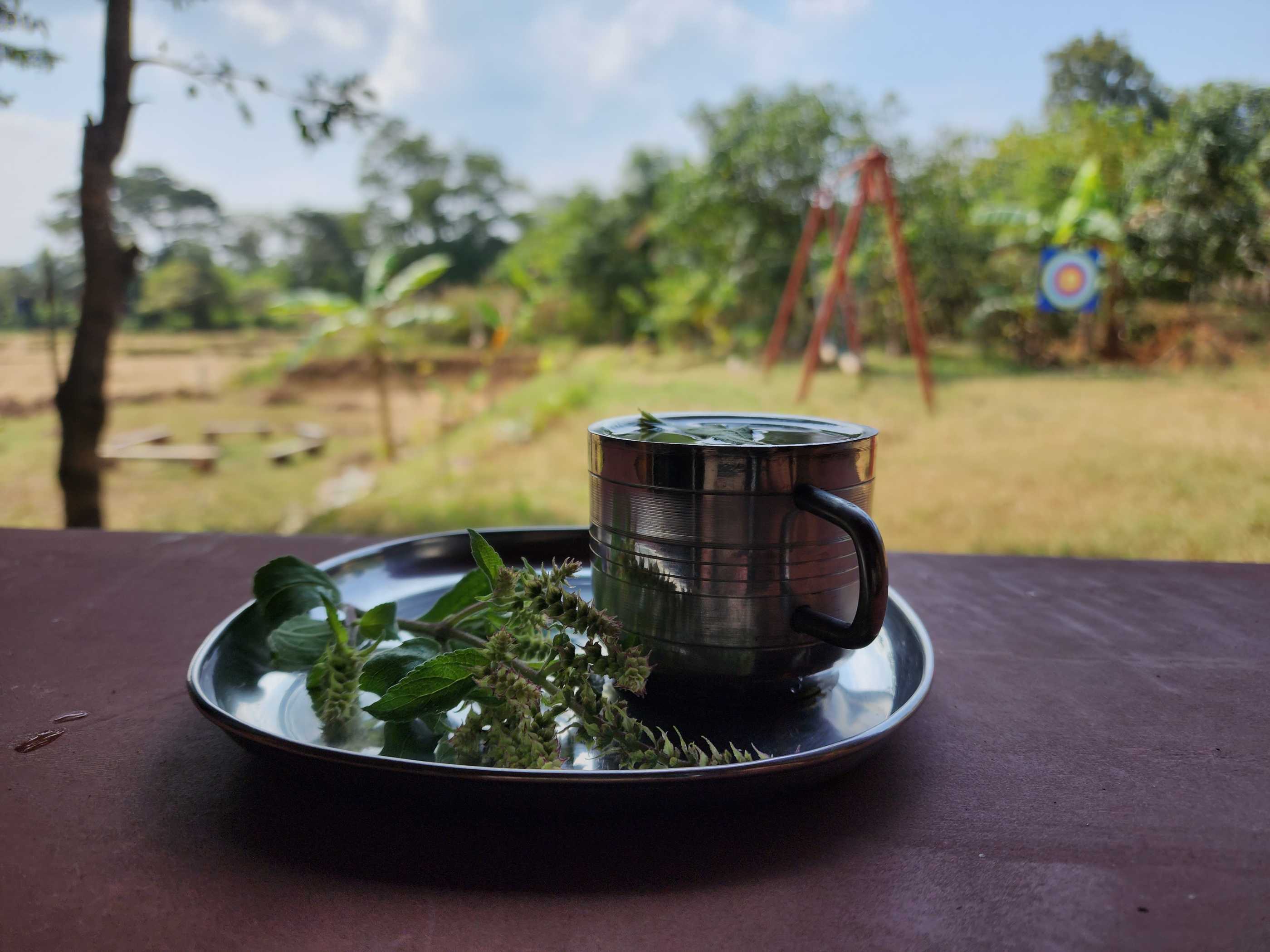 Tulasi Homestay dandeli photo 11