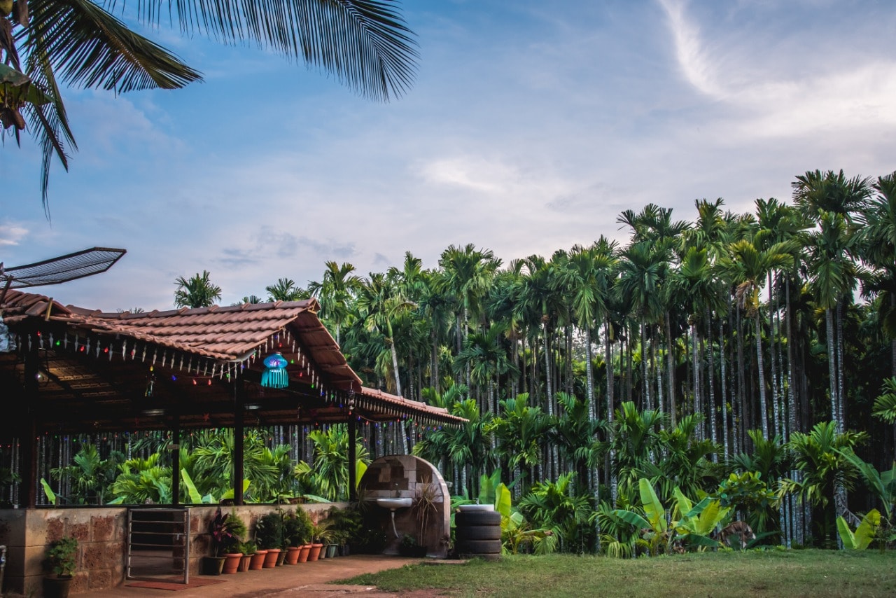 Dandeli Tiger Cottages