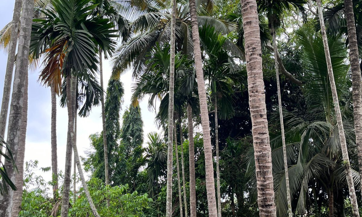 Resort Thumbnail