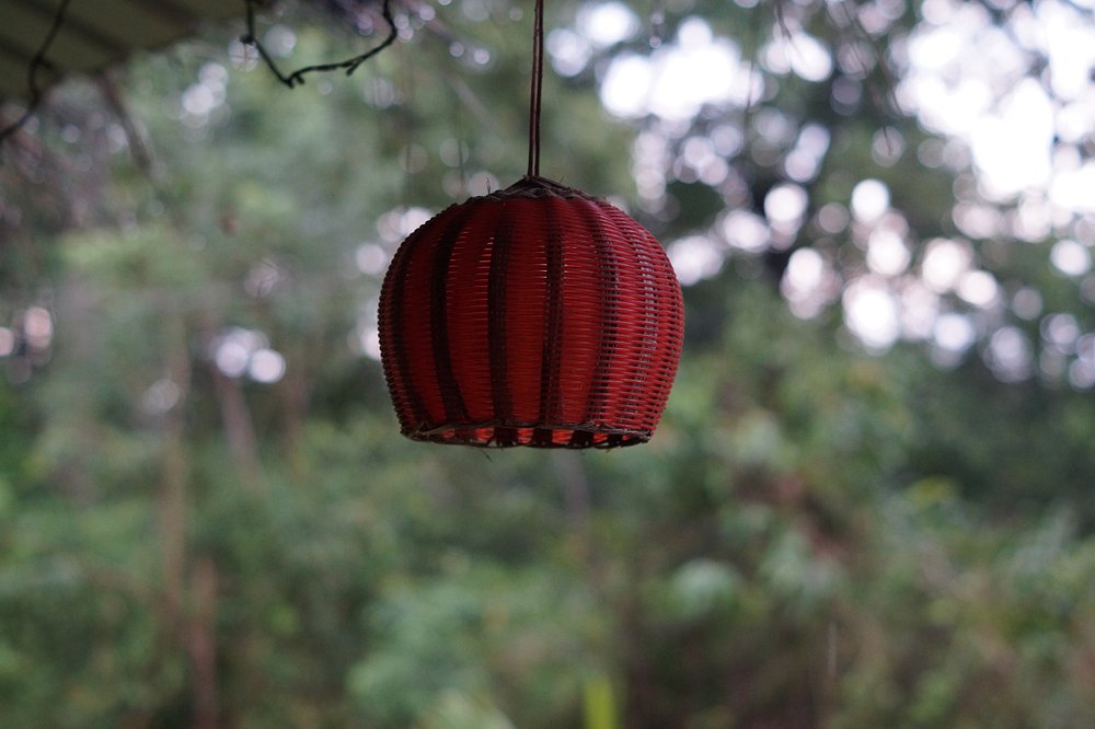 Jungle Nest Homestay photo 4