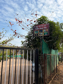 Dandeli Prithvi Homestay