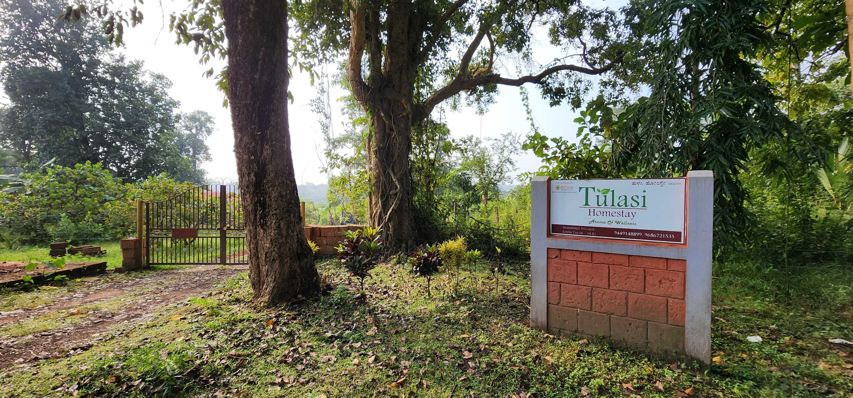 Tulasi Homestay dandeli