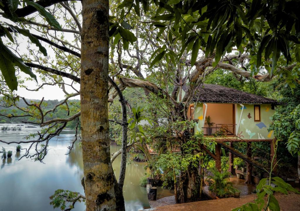 Whistling Woodzs Resort photo 5