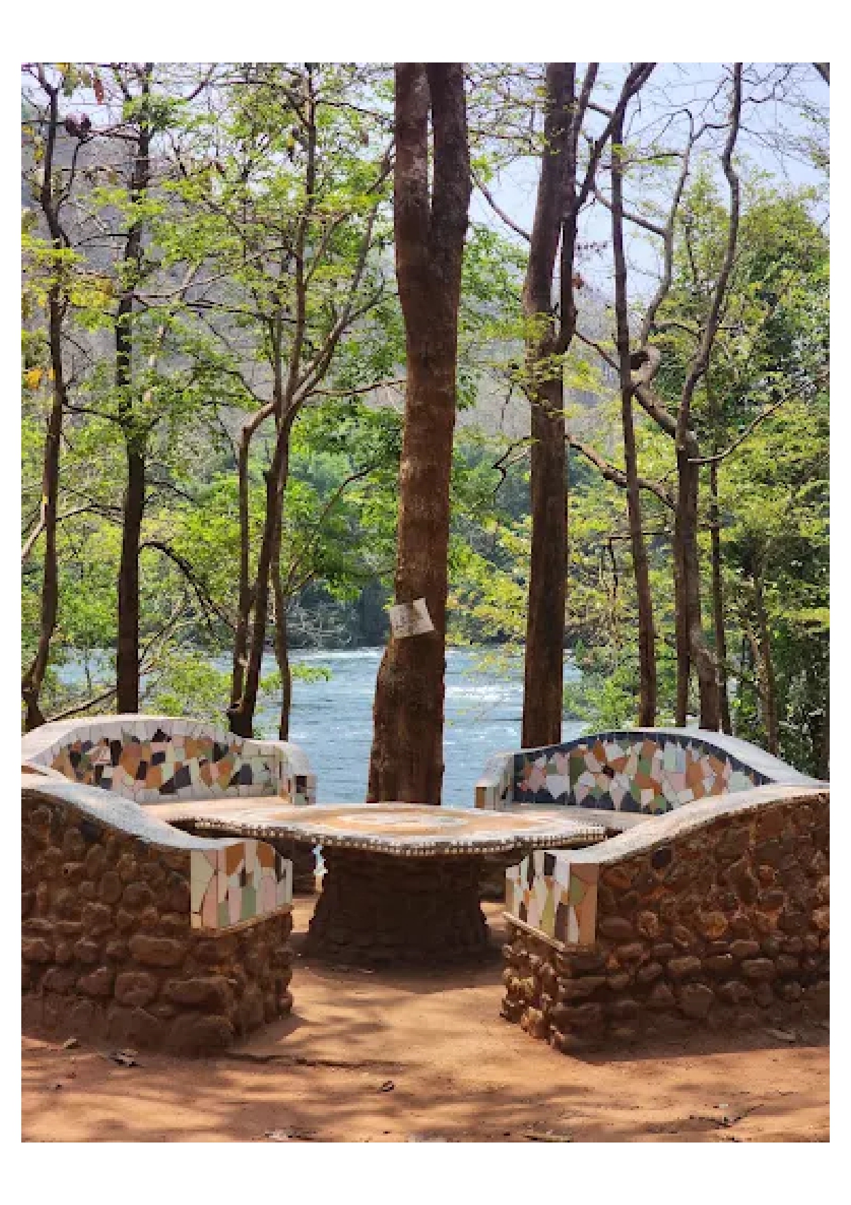 Ansh Resort, Dandeli photo 15