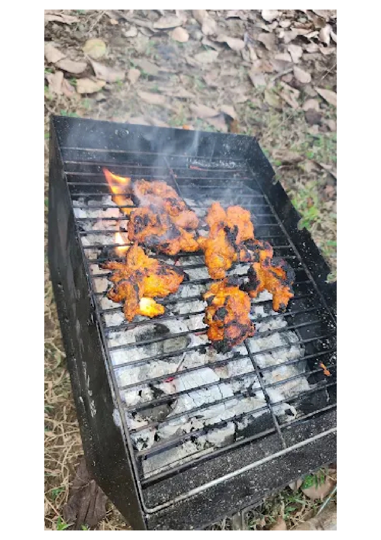 Ansh Resort, Dandeli photo 4