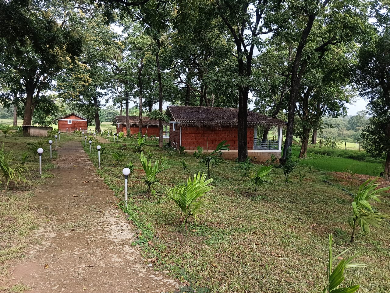 Dandeli - Aura Jungle stay photo 2