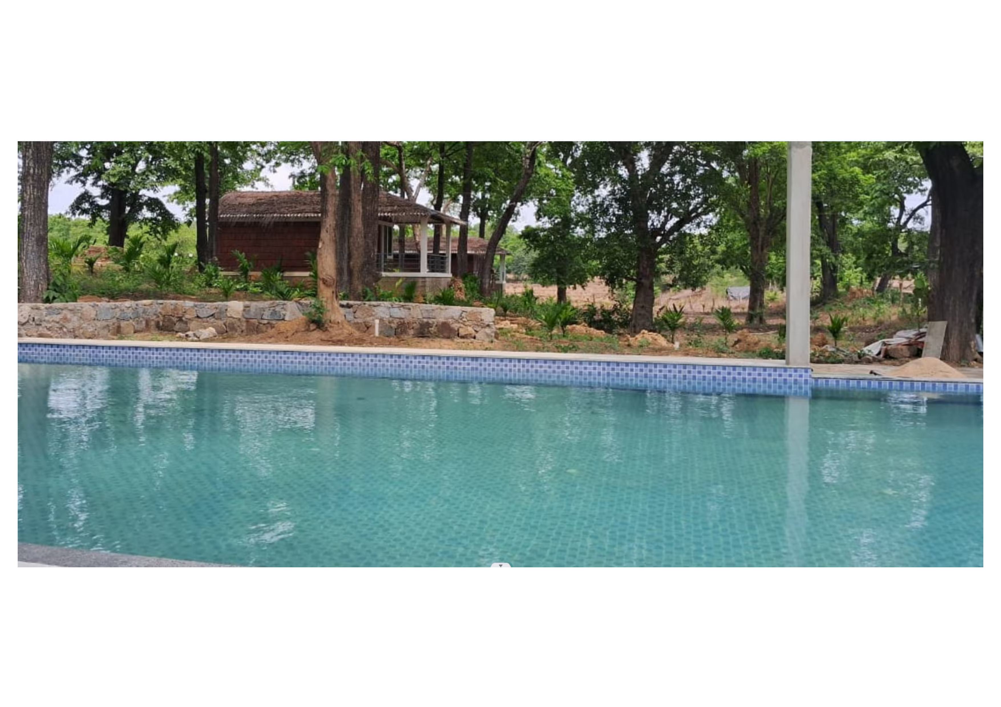 Dandeli - Aura Jungle stay photo 3