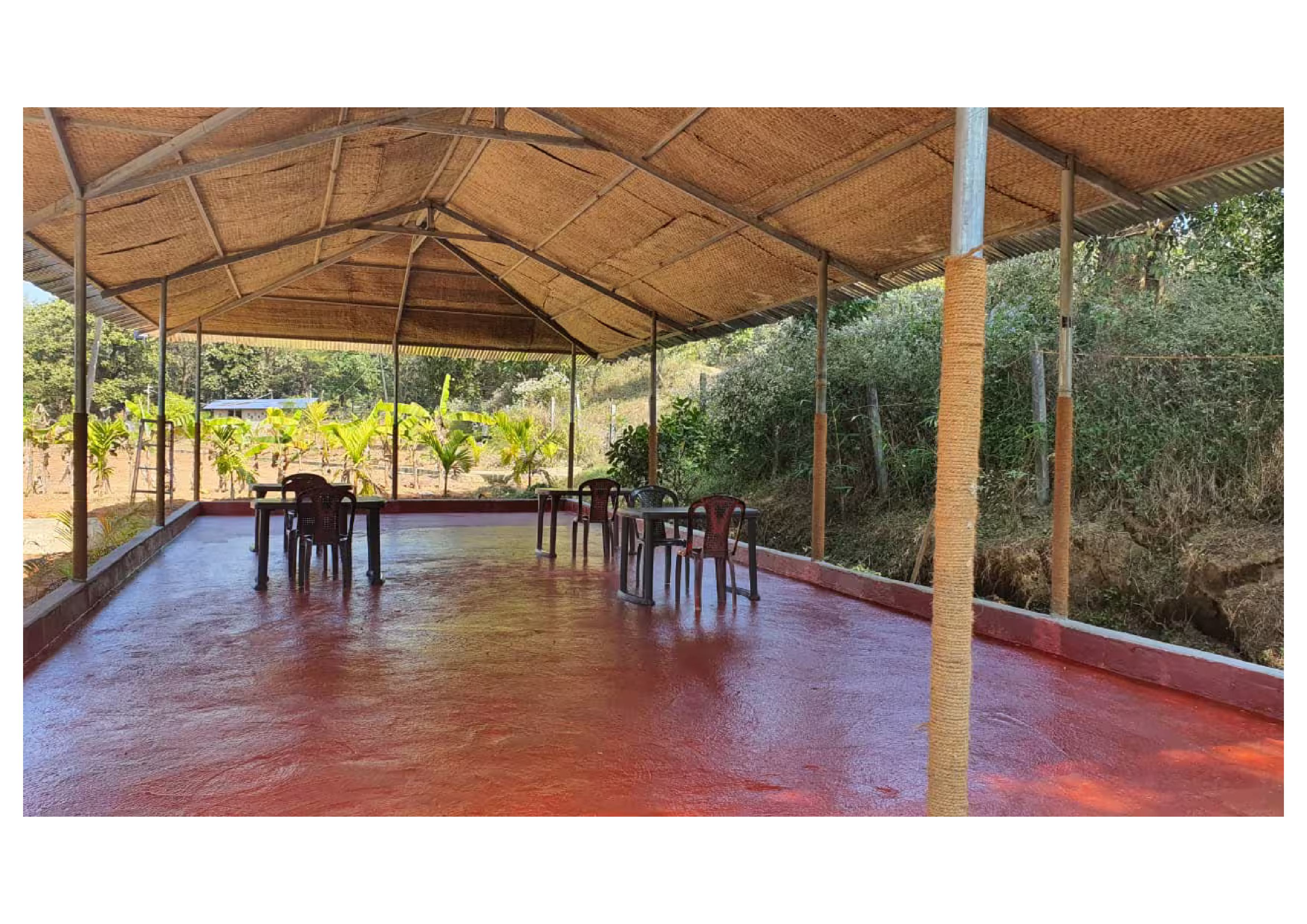 Dandeli - Aura Jungle stay photo 4