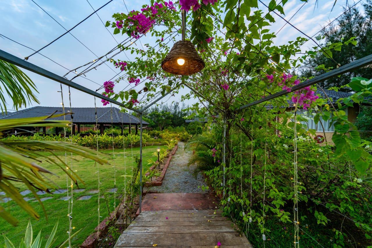 The parijat cottages photo 7