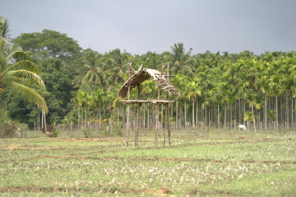 Tulsi homestay photo 15