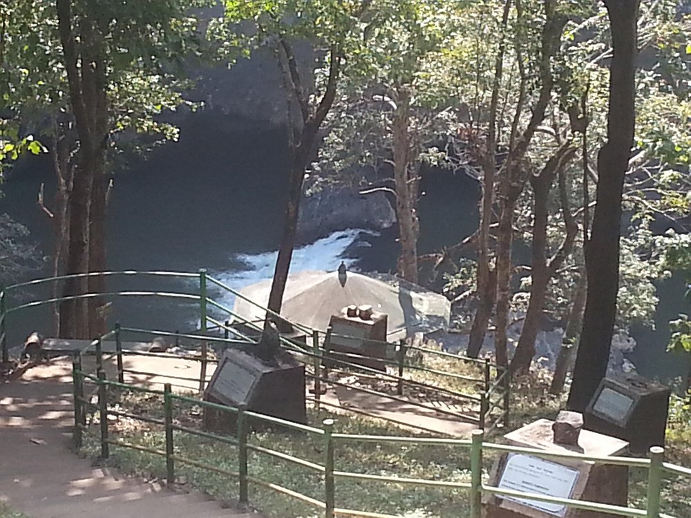 Bison River Resort photo 3