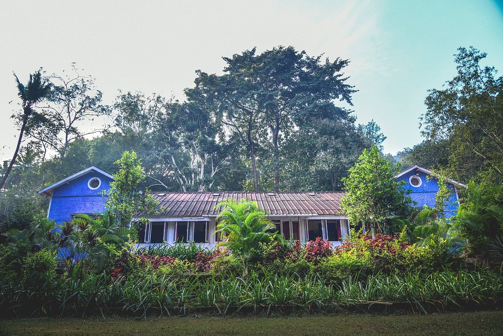 Wild Flower Home Stay