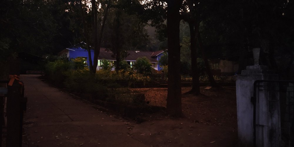 Wild Flower Home Stay photo 12