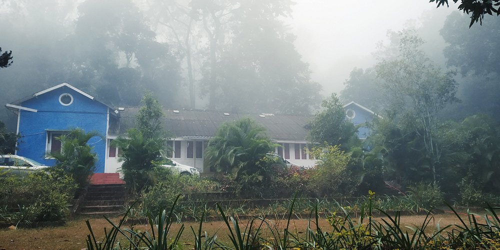 Wild Flower Home Stay photo 13