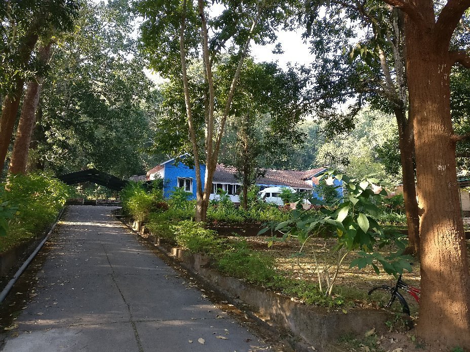 Wild Flower Home Stay photo 14