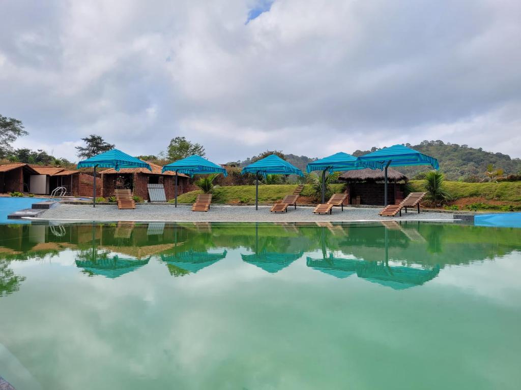 The Dandelion - Colonels Jungle Resort
