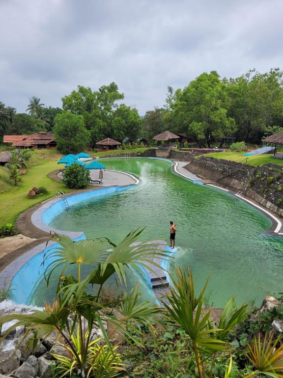 The Dandelion - Colonels Jungle Resort photo 5
