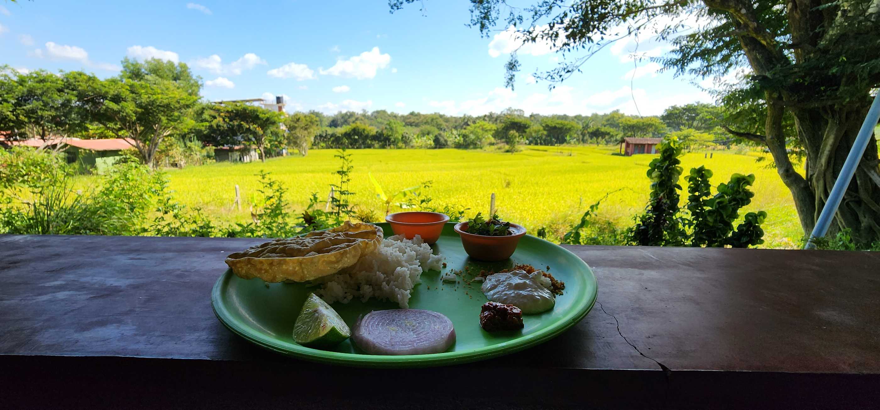 Tulasi Homestay dandeli photo 3